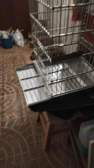 Jaula para ninfas y cotorras 47x36x36