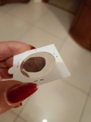 Moneta antica Italia. Forse mantova