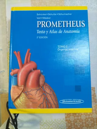 PAC-Prometheus y Ribes: Atlas de Anatomía e Ing...