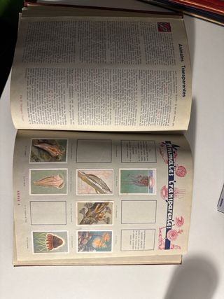 Las Maravillas del Mundo Nestle