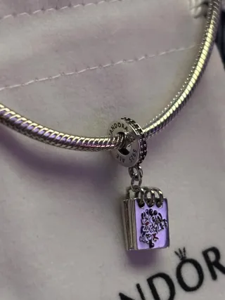 Charm Pandora Libro de Firmas Personajes Disney