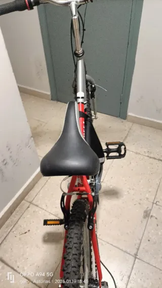 Bicicleta 24 infantil