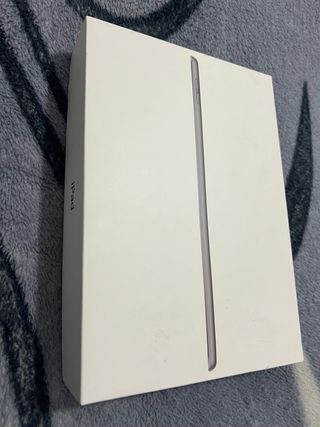Apple iPad 6ª Gen Plata