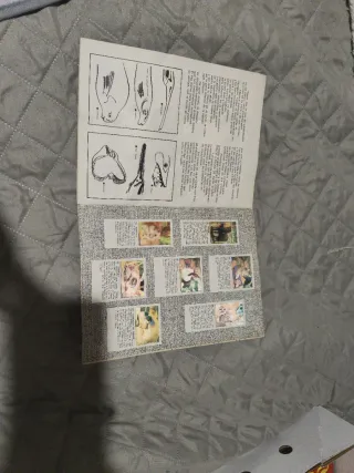 Álbum Cromos El Mundo Animales 3D Vintage