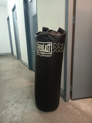 Saco de boxeo Everlast y Soporte.