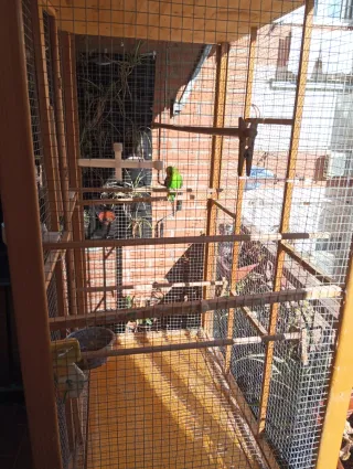 Jaula grande pájaros madera hecha a mano conmueble