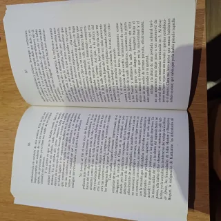 Libro el verano de la linterna mágica