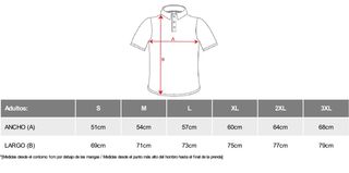 POLO REDBULL F1 2026