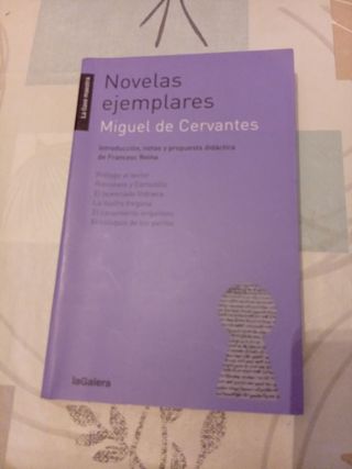 Novelas ejemplares