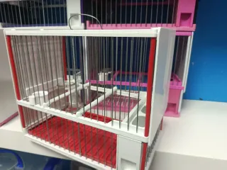 Jaula completa  Jilguero Negra y Amarilla