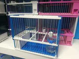 Jaula completa  Jilguero Negra y Amarilla