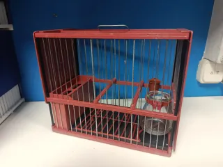 Jaula completa  Jilguero Negra y Amarilla