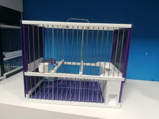 Jaula completa  Jilguero Negra y Amarilla