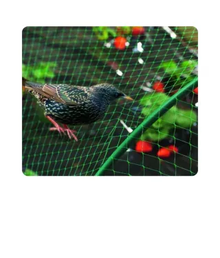 Malla anti pájaros Nortene 4x12m