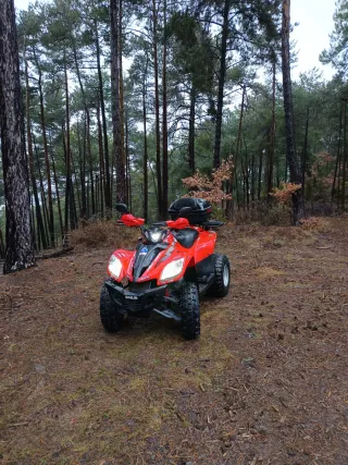 Quad Daelim ET 250 Automático