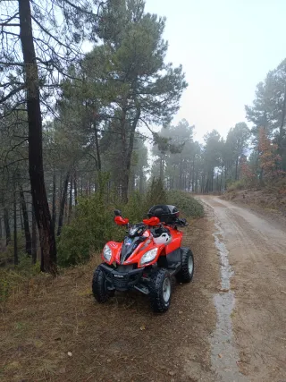 Quad Daelim ET 250 Automático