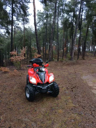 VENTA URGENTE POR MUDANZA!!!Quad Daelim ET 250 Aut