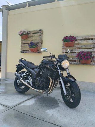 Suzuki Bandit 650 Naked