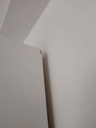 Librería Estantería BILLY Ikea Blanca