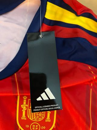 Camiseta España Pedri 20 Mundial