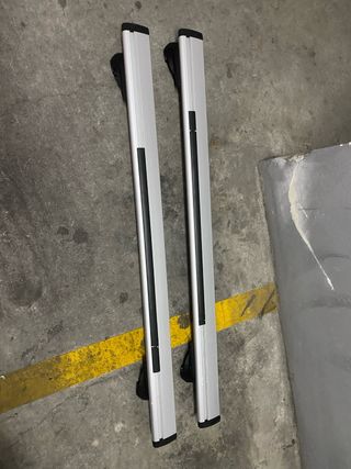 Barras de techo para raíl