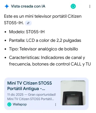 Televisor Bolsillo Vintage Citizen Negro
