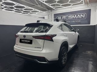 Lexus NX 2019