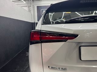 Lexus NX 2019