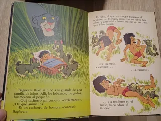 Colección cuentos Disney