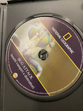 DVD National Geographic Bug Attack