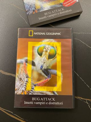 DVD National Geographic Bug Attack