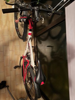 Bicicleta Conor DE09