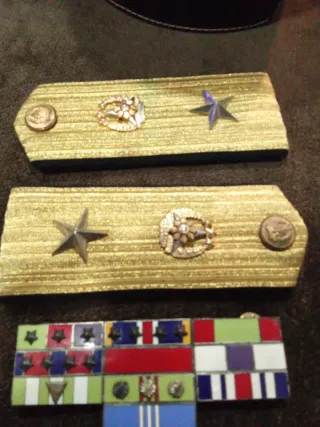Insignias y medallas militares doradas