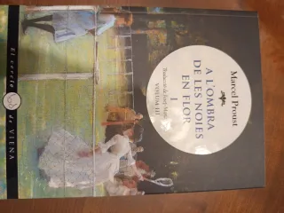 A la recerca del temps perdut. Vol 2,3 i 4. (Pere)