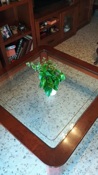 Mesa de centro madera y cristal