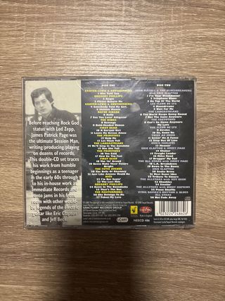 Jimmy Page & Friends - Hip Young Guitar Slinger