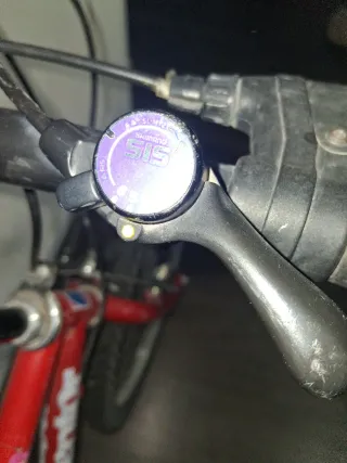 Bicicleta Clásica, Rueda 24"