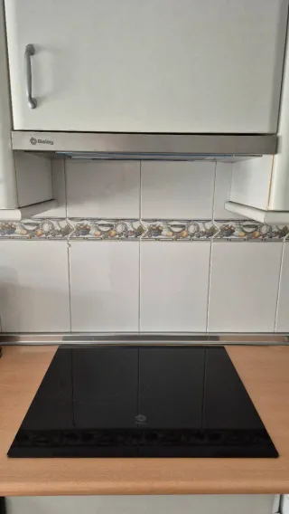 Campana Extractora Telescópica Balay