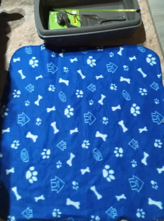 Lote Gatera, Manta y Juguete Ratón