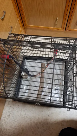 Jaula para pájaros negra