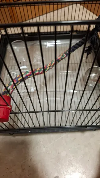 Jaula para pájaros negra