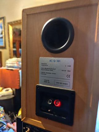 DENON SC-G101 -394- ALTAVOCES Marrones