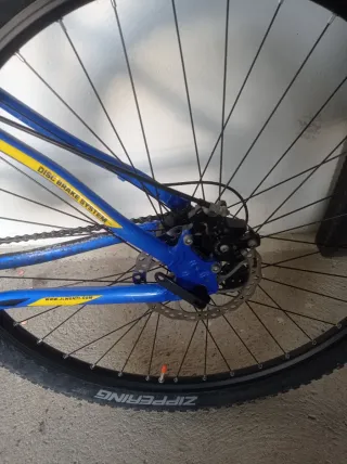 Bicicleta de Montaña