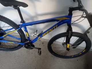 Bicicleta de Montaña