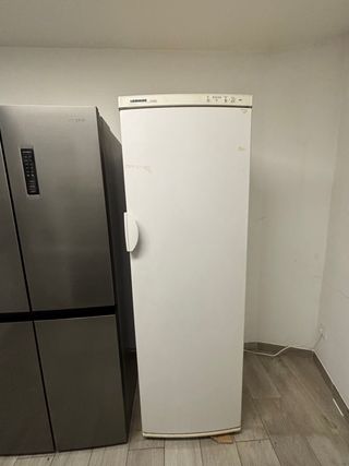 Congelador vertical blanco Liebherr confort