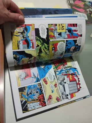 Batman: Mi principio... y mi probable fin