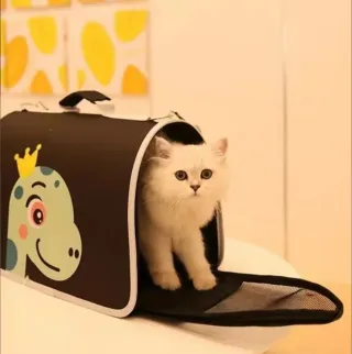 Nuevos a estrenar , camas, transportines ......