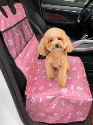 Nuevos a estrenar , camas, transportines ......