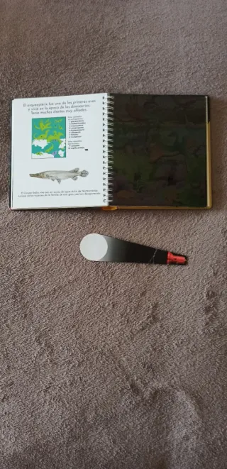 Animales desaparecidos