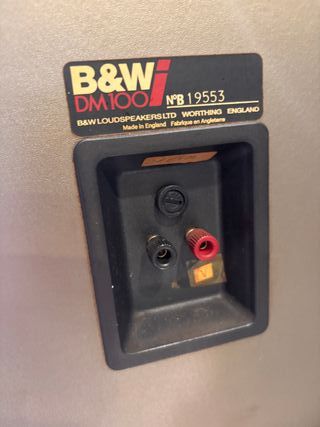 Altavoces B&W DM100